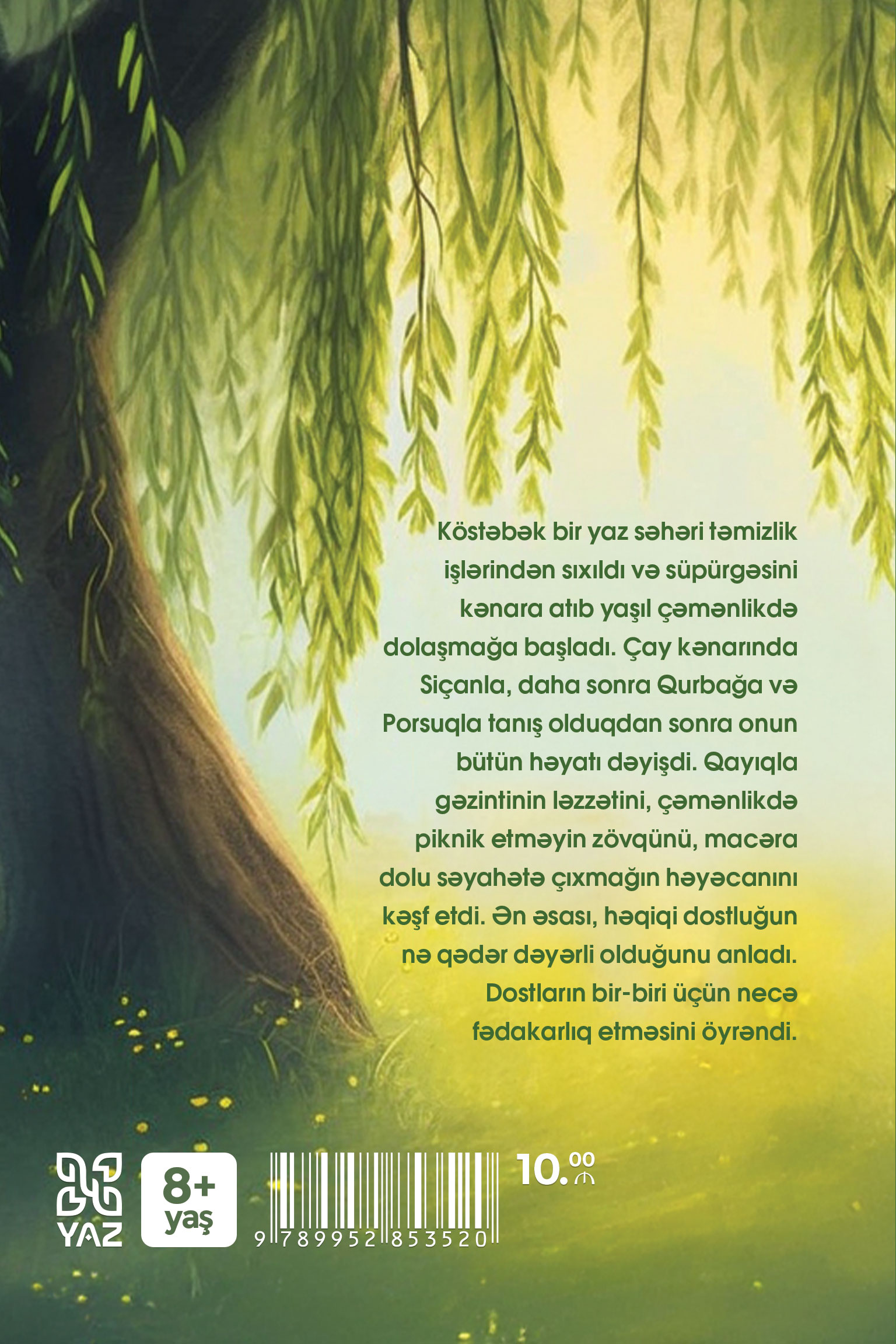 Book Cover